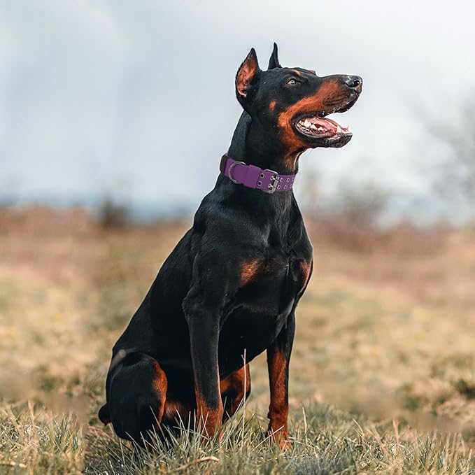 Tactical Dog Collar Military Adjustable Dog Collars Soft Nylon Training Collar - Image 6