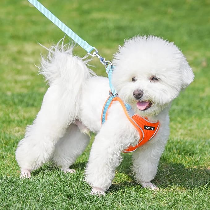 AIITLE Easy Walk Dog Harness and Leash Set - Image 6