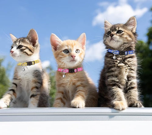 16 PCS Breakaway Cat Collars - Image 2