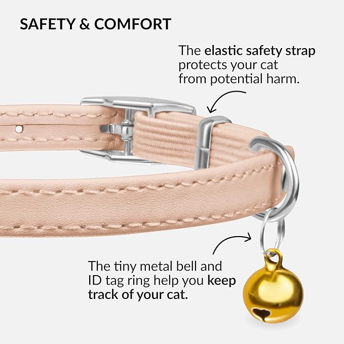 CollarDirect Leather Cat Collar - Image 3