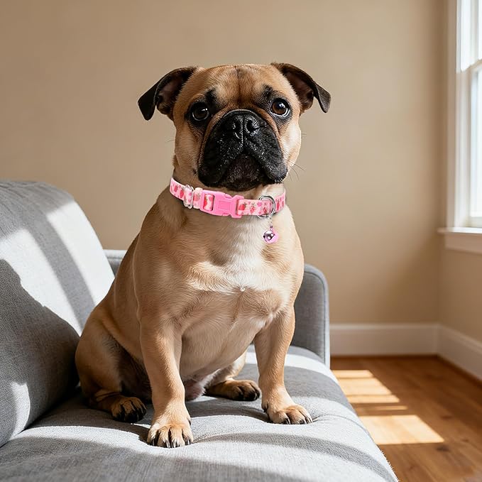 Small Dog Collar with Bell - Image 5