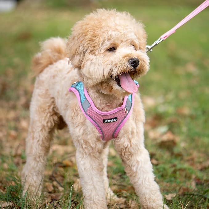 AIITLE Easy Walk Dog Harness and Leash Set - Image 2