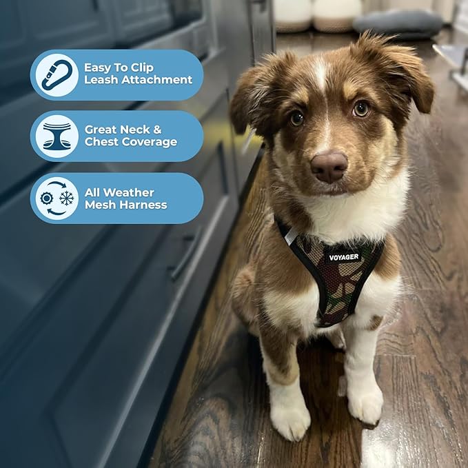 Best Pet Supplies - Image 5