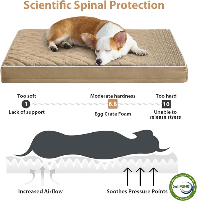 WNPETHOME Orthopedic XL Dog Bed - Image 3