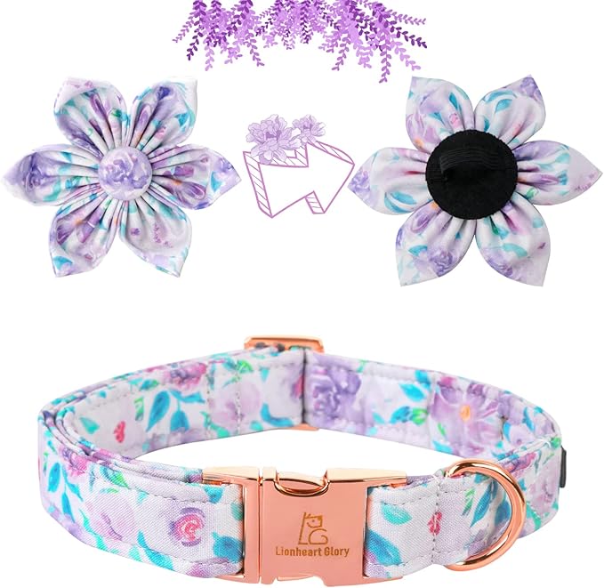 Lionheart Glory Dog Collar - Image 3