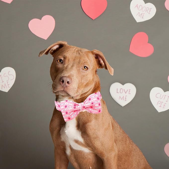 Lionheart glory Dog Bow Collar Valentine's Day Dog Collar - Image 5