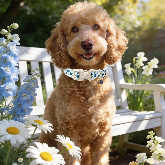Spring/Summer Dog Collar for Medium Dogs - Image 6