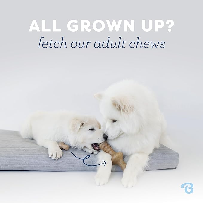 Benebone Puppy Maplestick Dog Chew Toy, Made in USA, Real Maple Wood Flavor - Image 5