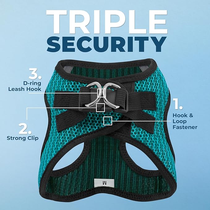 Best Pet Supplies - Image 7