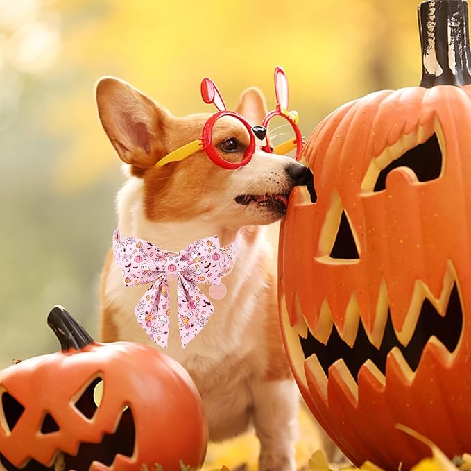 Halloween Dog Collar with Flower, Fancy Halloween Dog Collar Bowtie Gift - Image 5