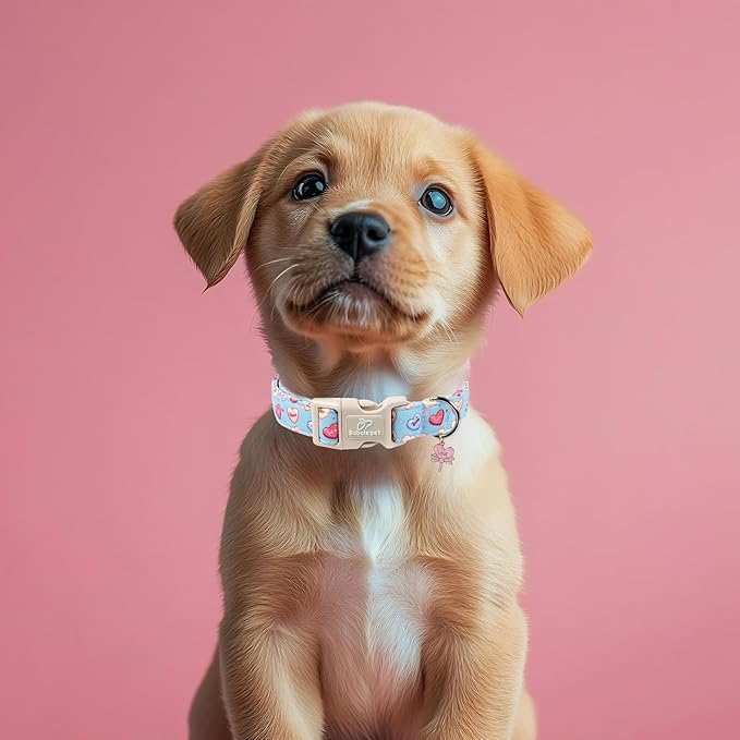 Valentines Dog Collar for Medium Dogs - Image 7