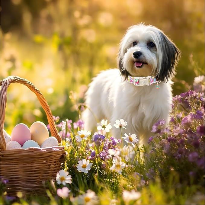 Easter Dog Collar for Puppy Small Dogs - Image 5