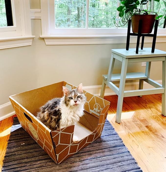 Tallest Disposable Cat Litter Box 15 Trays 2 Trays Litter Box Low Entry - Image 2