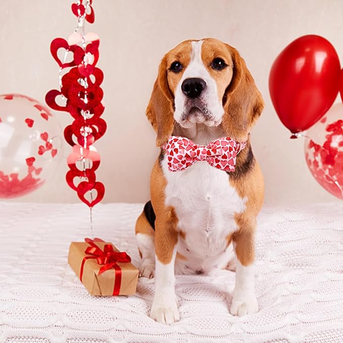 Lionheart Glory Valentine's Day Dog Collar - Image 4