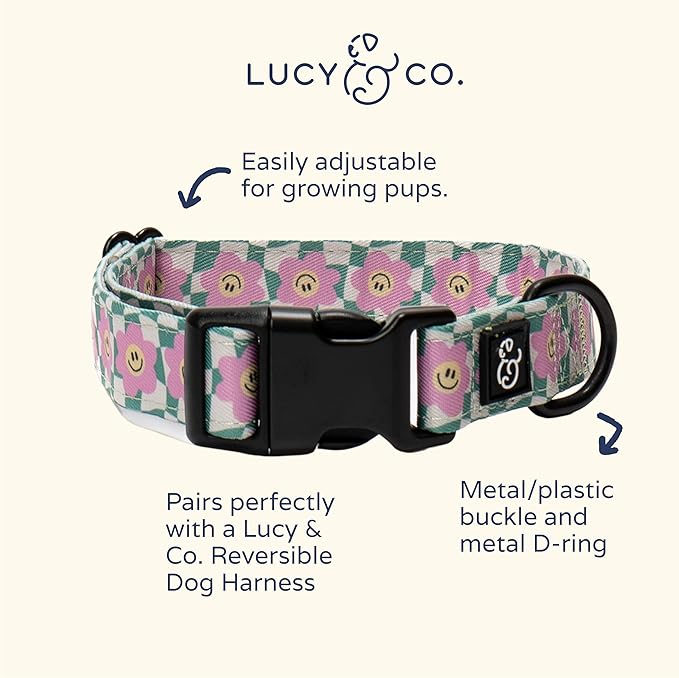 Lucy & Co. Dog Collar - Image 3