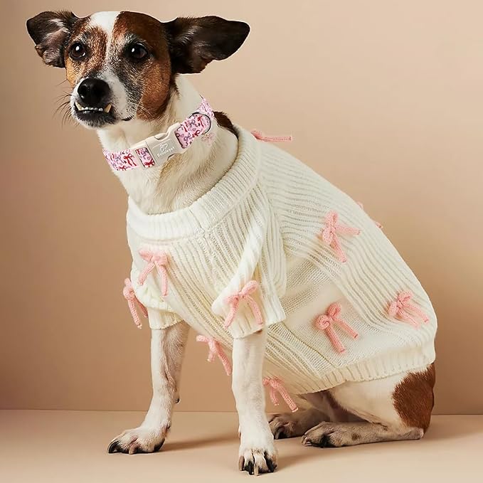 Girl Dog Collar for Small Dogs - Image 5