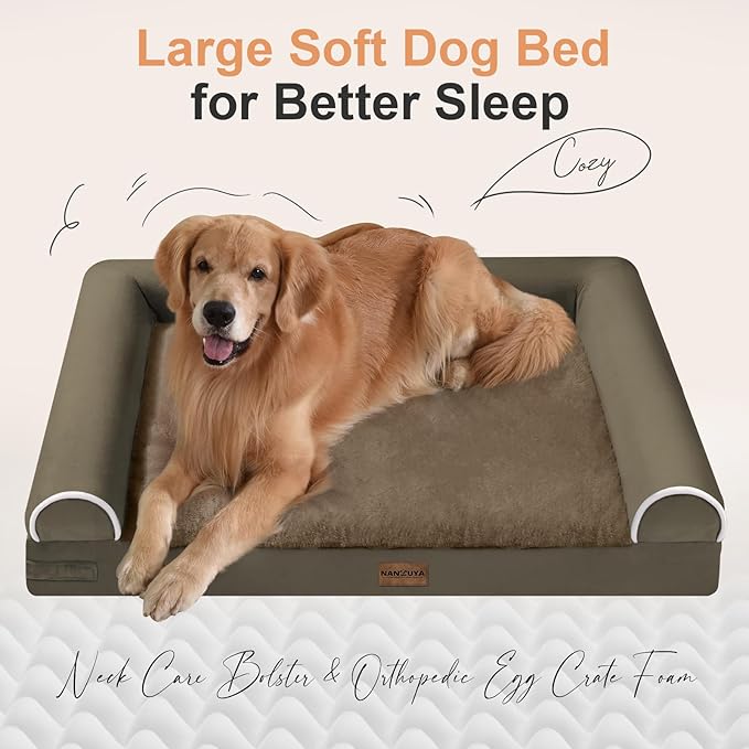 Small Dog Bed Orthopedic Washable: Beds Bolster Small Sized Dogs Cats Bed Egg - Image 2
