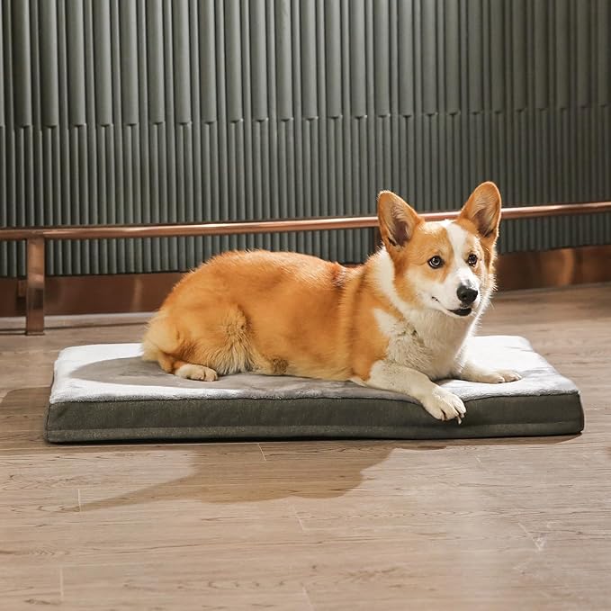 Amazon Basics Washable Dog Bed - Image 9