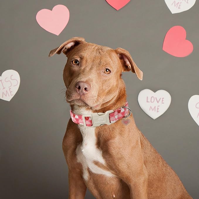 Valentines Dog Collar for Medium Dogs - Image 4