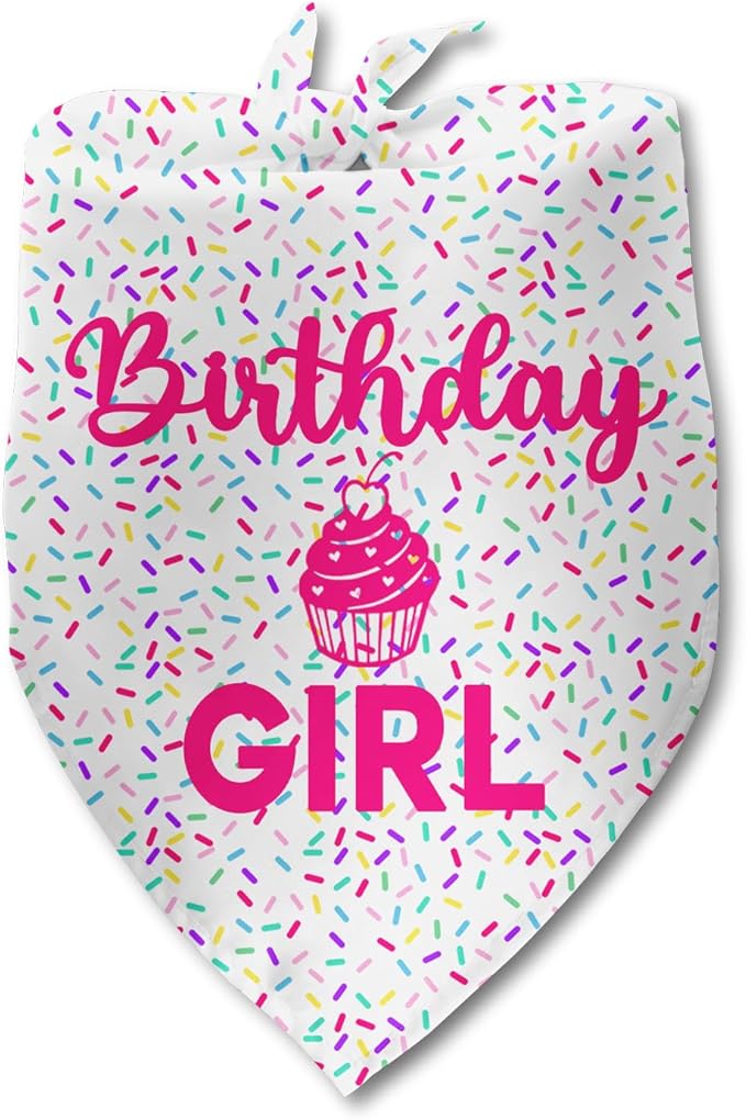 Dog Birthday Bandana Birthday Girl Pet Scarf Bibs Accessories Party Supplies by Luptiteuy