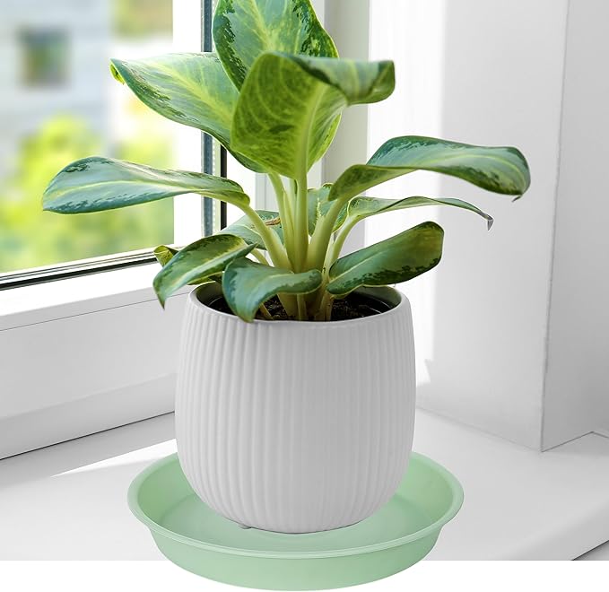 6 Pack of 8 inch Plant Saucer Blue, Plastic Plant Water Tray 8 inch Round - Image 4