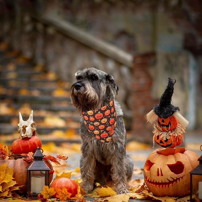 PTDECOR Halloween Dog Bandana, Skeleton Pumpkin Reversible Holiday Dog Scarf - Image 3