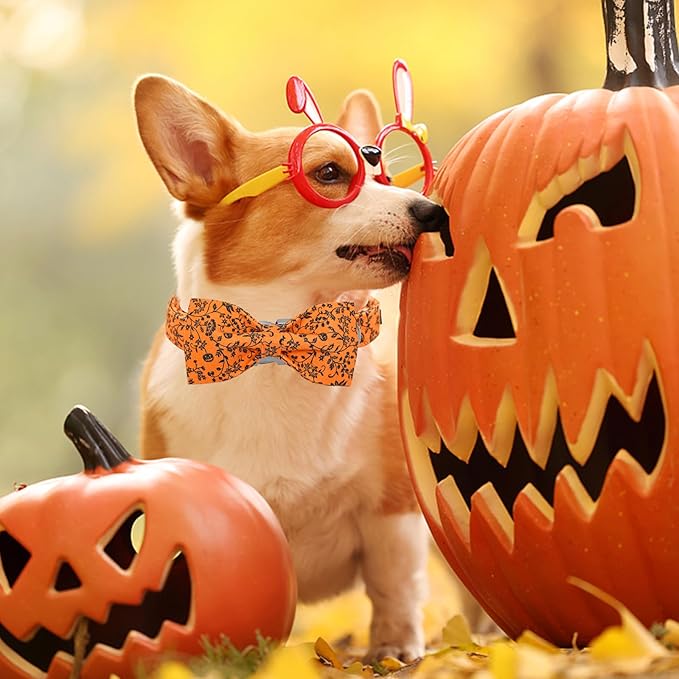 Halloween Dog Collar, Pet Collar Dog Bow Pumpkin Dog Collar Girl Boy Holiday - Image 4