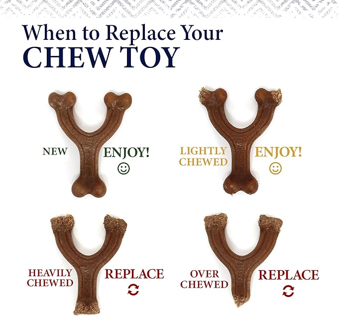 Nylabone Gourmet Style Knuckle Bone Strong Chew Toy - Image 7
