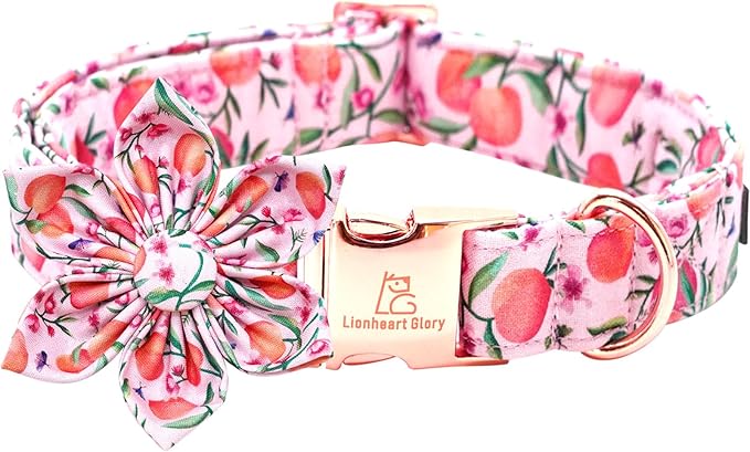 Lionheart glory Dog Collar by LionheartGlory