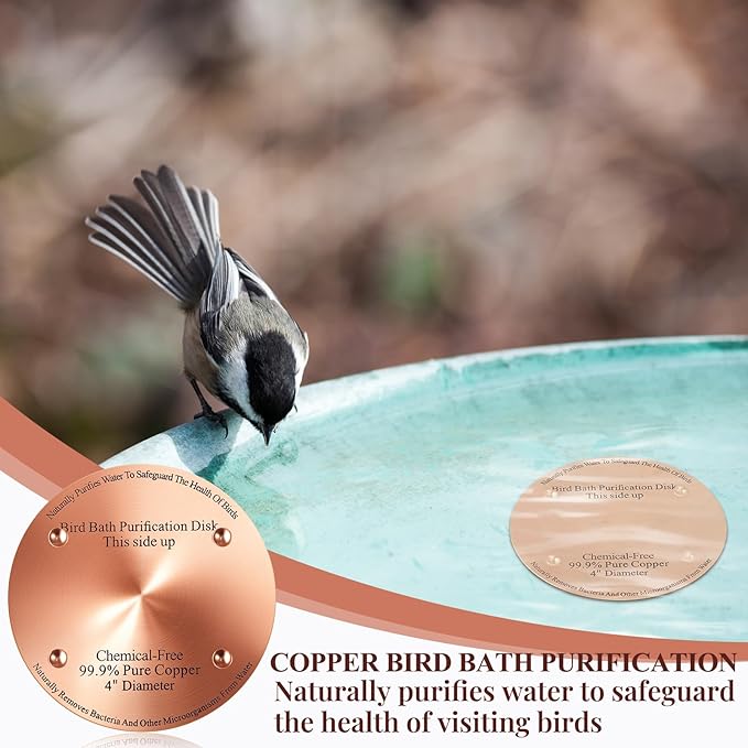 1 Pcs Bird Bath Copper Disk, 0.6mm Thick Reinforced 99.99% Pure Copper Birdbath - Image 4