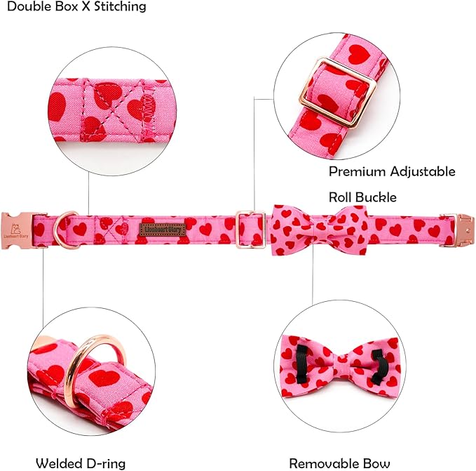 Lionheart Glory Valentine's Day Dog Collar - Image 2