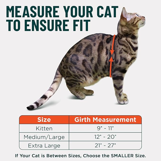 Houdini™ Escape Proof Cat Harness and Leash Set by OutdoorBengal – Turquoise - Image 5