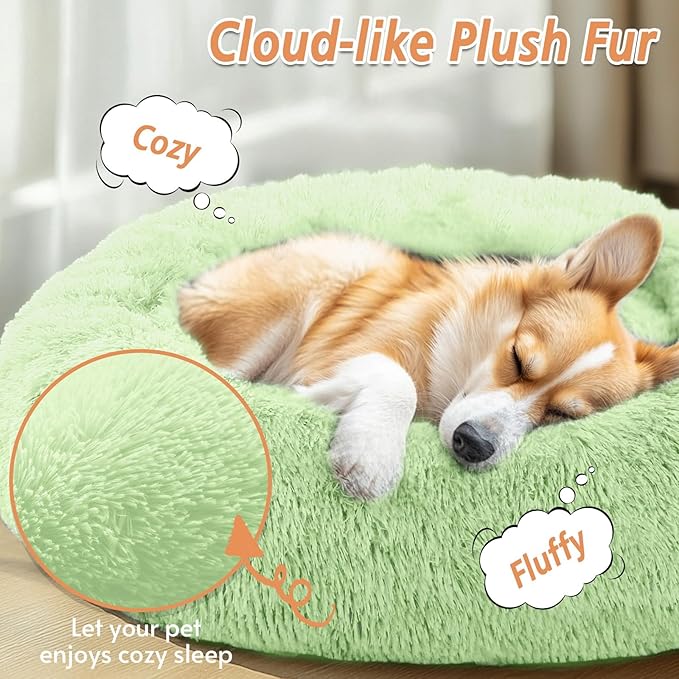 JOLLYVOGUE Calming Dog Bed for Small Dogs - Image 2