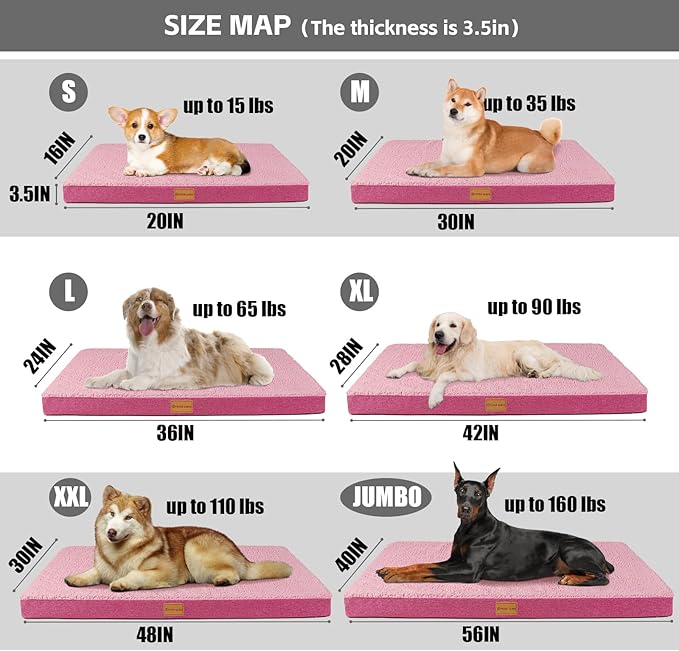 Patas Lague Orthopedic Dog Bed for Small Dogs 20''X15'', Soft Waterproof Egg - Image 6
