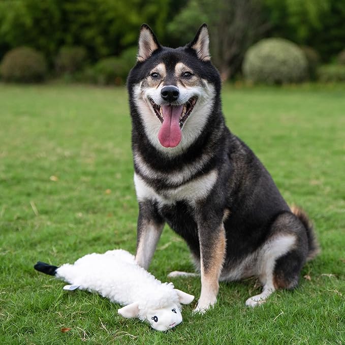 Best Pet Supplies Squeaky Dog Toys - Image 5