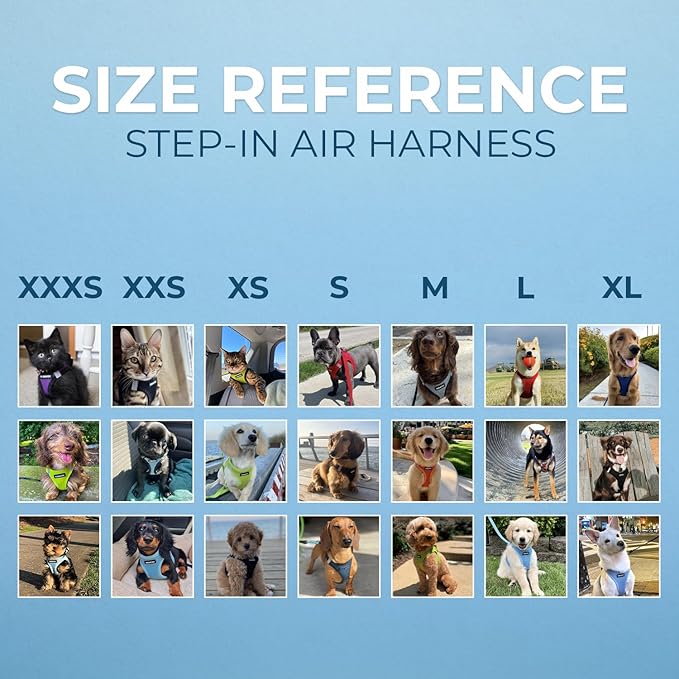 Best Pet Supplies Voyager Step-in Air All Weather Mesh Harness and Reflective - Image 7