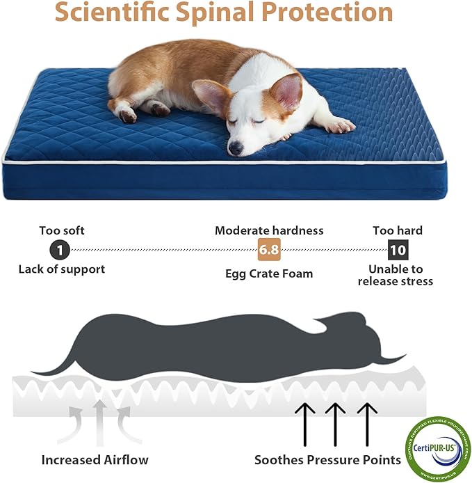 WNPETHOME Orthopedic Dog Bed Medium Size Dog, Waterproof Medium Dogs Bed - Image 3