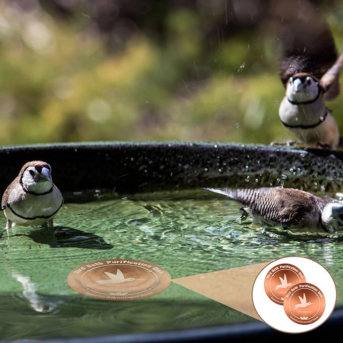 4Pcs Pure Copper Bird Bath Purification Disk, 0.6mm thick, All-Season Safe - Image 7