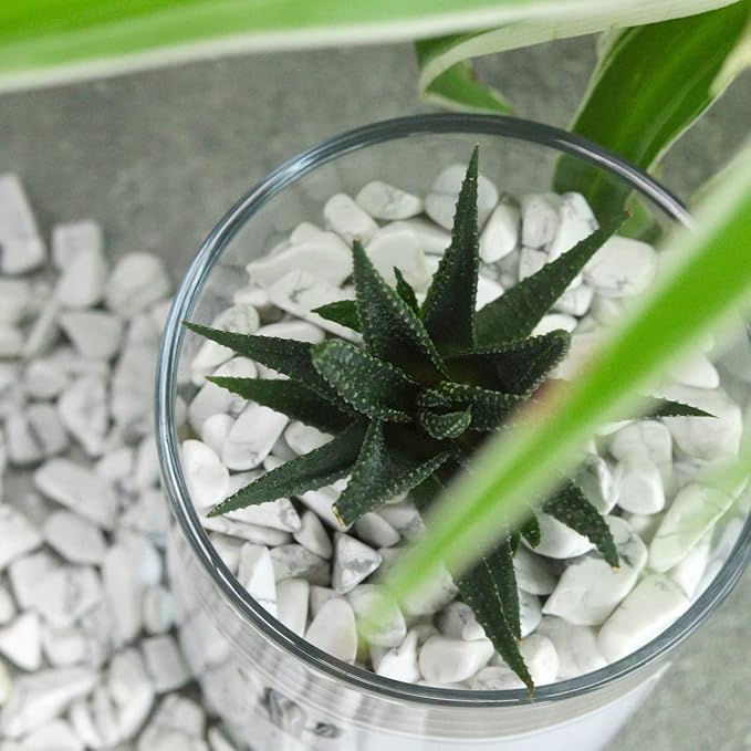 Howlite Aquarium Gravel Rocks Natural Tumbled Healing Crystal Chips Bulk - Image 4