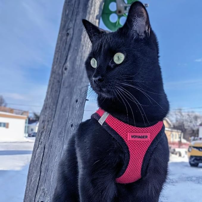 Best Pet Supplies Voyager Step-in Air Harness - Image 8