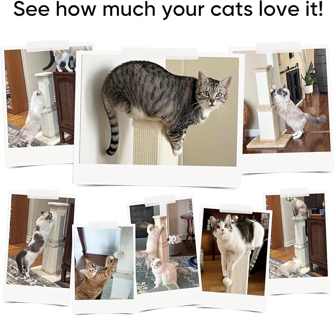 AGYM 32 Inch Cat Scratching Post - Image 6