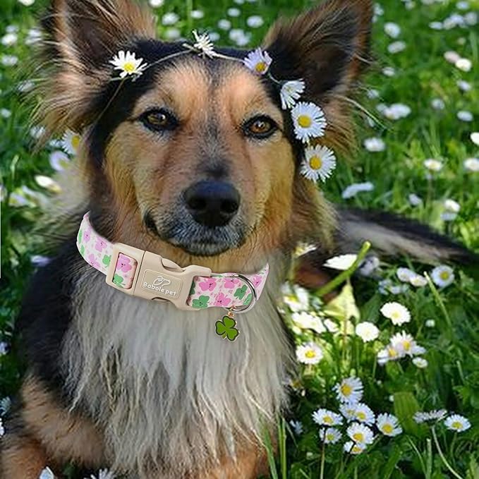 St Patricks Day Dog Collar for Medium Dogs - Image 2