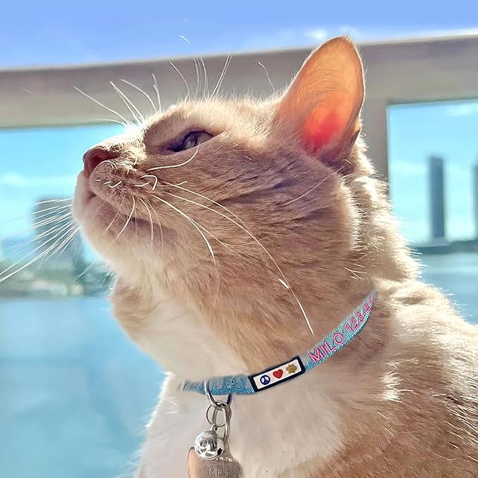 Pawtitas Personalized Green Reflective Cat Collar – Adjustable Custom Collar - Image 3