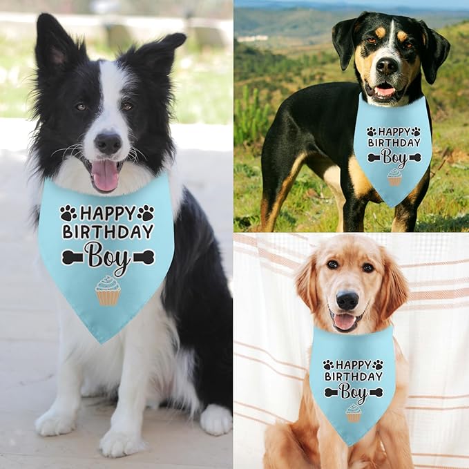 Dog Birthday Bandana Boy Happy Birthday Gifts - Image 4