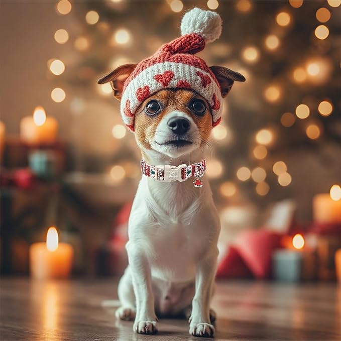 Christmas Dog Collar for Puppy Small Dogs - Image 7