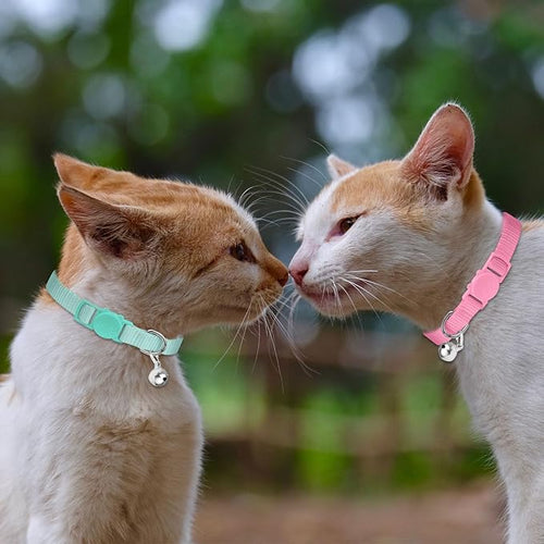 16 PCS Breakaway Cat Collars, Kitten Collar - Image 2