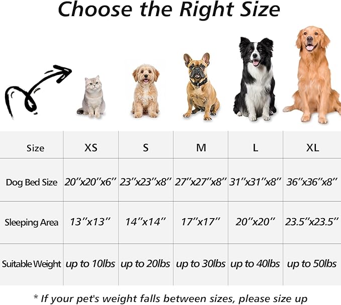 JOLLYVOGUE Small Dog & Cat Beds - Image 7