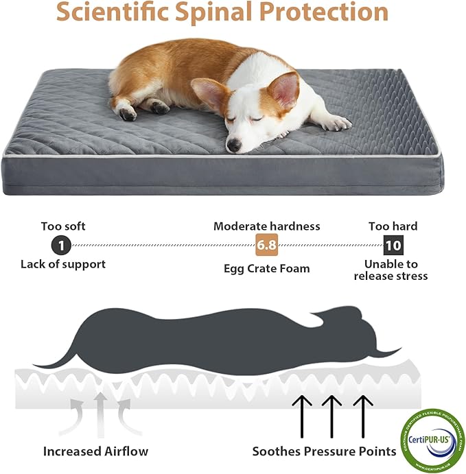 WNPETHOME Orthopedic Dog Bed Medium Size Dog, Waterproof Medium Dogs Bed - Image 3