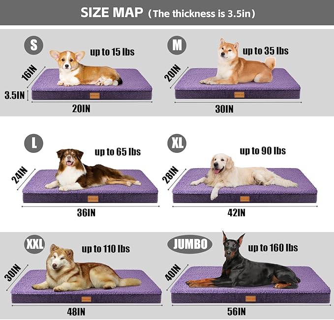 Patas Lague Orthopedic XL Dog Bed Large Sized Dog 42''X28'', Soft Waterproof - Image 5