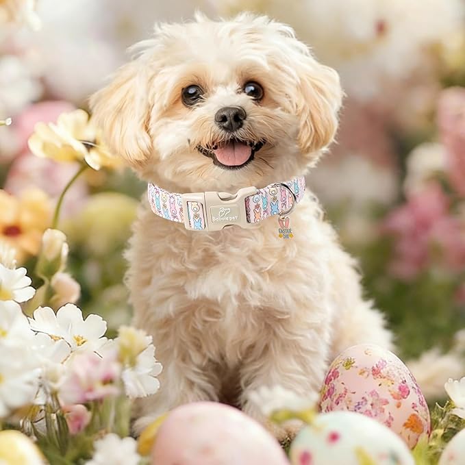 Easter Dog Collar for Giant Large Dogs - Image 2